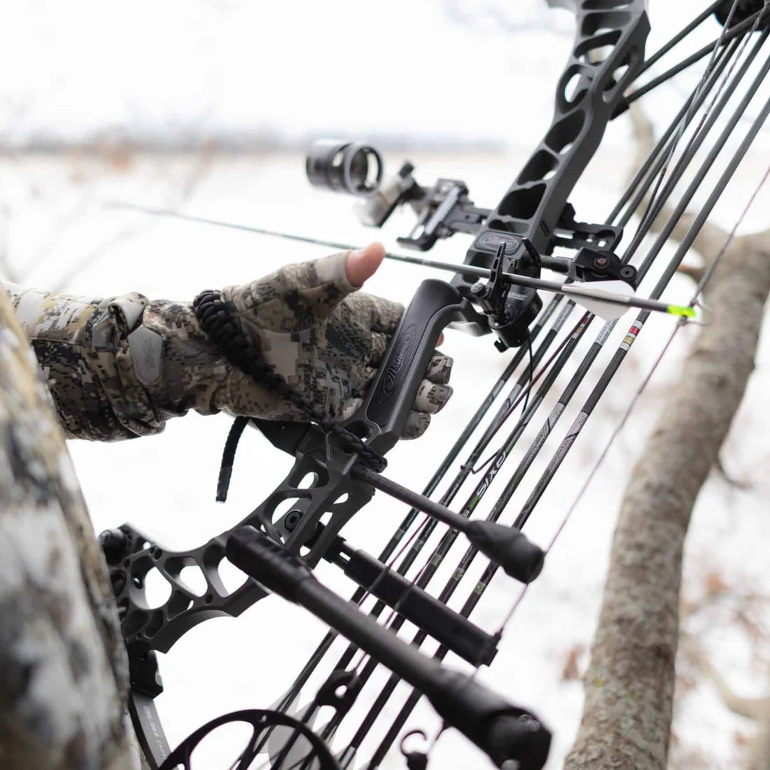 Mathews BOND™ Side Plates