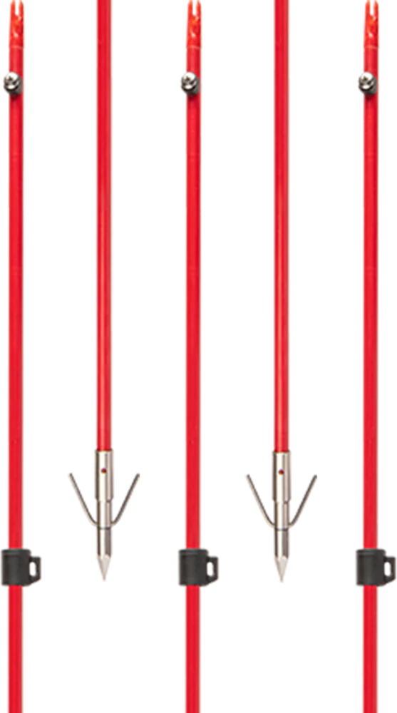 Fiberglass Arrow W/ Piranha Point XT