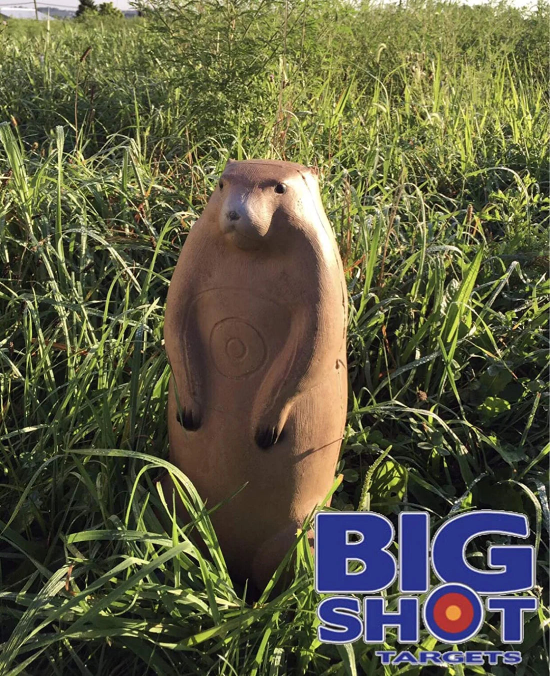 Pro Hunter Groundhog Archery Targets